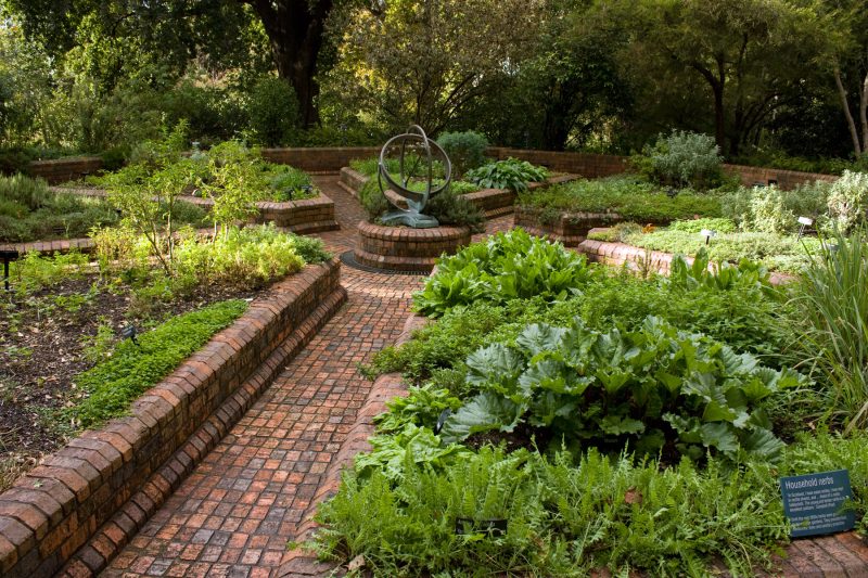 An apothecary garden with dedicated beds allocated for every herb.