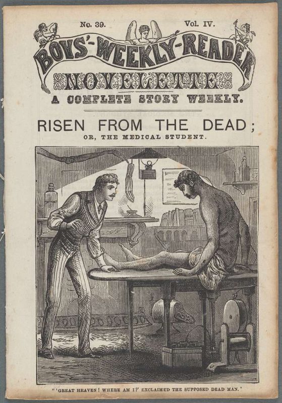 An image of the cover of a Regency era Gothic novelette.