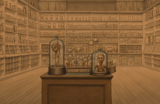 A museum filled with different body parts, bones, and skulls.