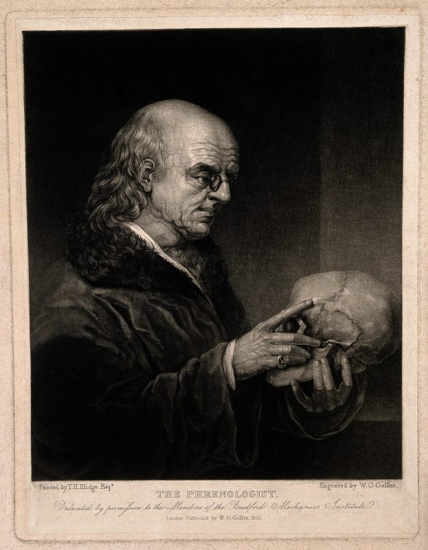 A bald phrenologist with a large forehead examining a skull.